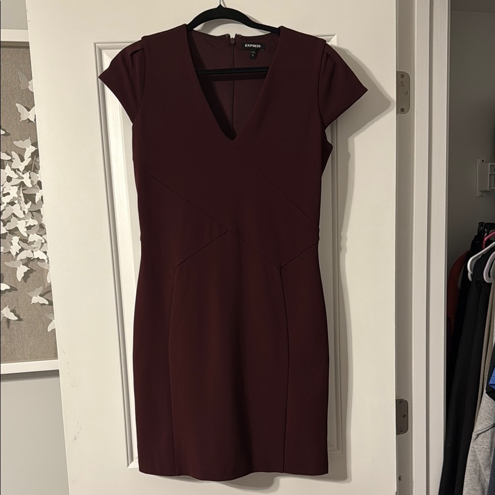 Express Deep Burgundy V-Neck Mini Dress